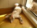 Фатима Добаева фотография #25 (источник - https://vk.com/id2943771)
