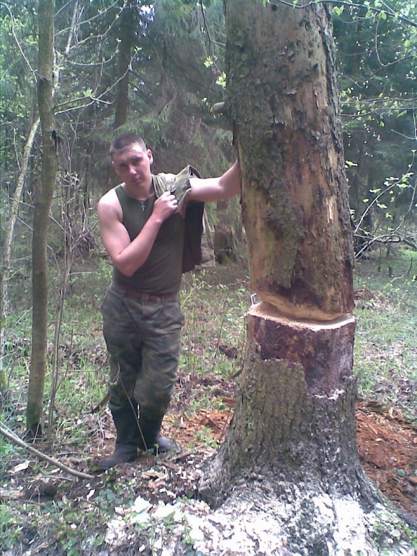 Антон Горват фотография #22