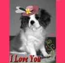 Фотография Шергиной Наталии