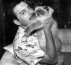 Фотография Щербаков Евгений