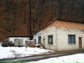 Ольга Пасічник фотография #15 (источник - https://vk.com/id15396420)