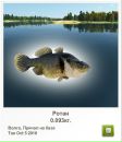 Сергій Брусяк фотография #46 (источник - https://vk.com/id58153311)