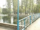 Софія Зацепанюк фотография #18 (источник - https://vk.com/id68938798)