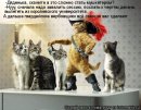 Станислав ... фотография #25 (источник - https://vk.com/id14570168)
