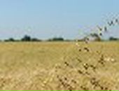 Діма Бузівський фотография #17 (источник - https://vk.com/id19813075)