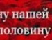 Міша Мельниченко фотография #13 (источник - https://vk.com/id114095351)
