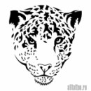 Сергій Гуржій фотография #23 (источник - https://vk.com/id48728005)