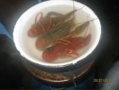 Андрій Кухарчук фотография #47 (источник - https://vk.com/id55344657)