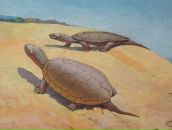 Фотография Данилова Игоря