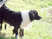 Фотография Ермаковой Лили