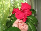 Фотография Загребиной Анны