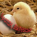 Софія Ільчук фотография #25 (источник - https://vk.com/id158869362)