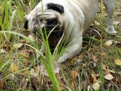 Фотография Корнюшенко Анны