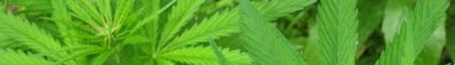 Коля Гоцюк фотография #22 (источник - https://vk.com/id137425136)