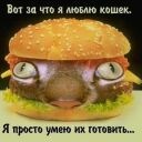 Фотография Рыбакова Павла