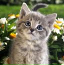 Фотография Петровой Полины