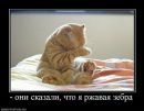 Ірина Демешкіна фотография #45 (источник - https://vk.com/id60720086)