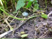 Андрій Рудий фотография #38 (источник - https://vk.com/id24890327)