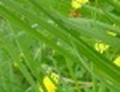 Максим Лісовський фотография #32 (источник - https://vk.com/id92939231)