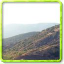 Лінок Бнчак фотография #2 (источник - https://vk.com/id148959710)