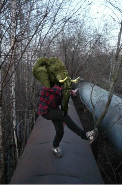 №5, Максим Шведов №5, Максим Шведов