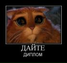 Аня Кідман фотография #1