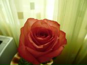 Фотография Кисткин Александр