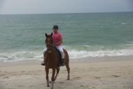 Фотография Чернасова Антона