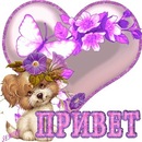 Соломія Папірник фотография #34 (источник - https://vk.com/id139059185)