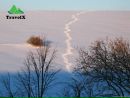 Αндрей Κарпов фотография #35 (источник - https://vk.com/id166868770)