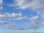 Фотография Шевеленко Катерины