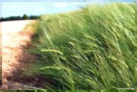 Евгений Сивец фотография #12 (источник - https://vk.com/id3779331)