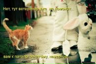 Оля Білик-Дворянська фотография #43 (источник - https://vk.com/id94354537)