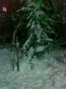 Johnbill Salvadoore фотография #50 (источник - https://vk.com/id161669608)