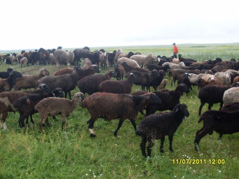 Борис Моисеенко фотография #24