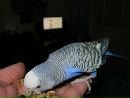 Надія Лясковець фотография #7 (источник - https://vk.com/id142441363)