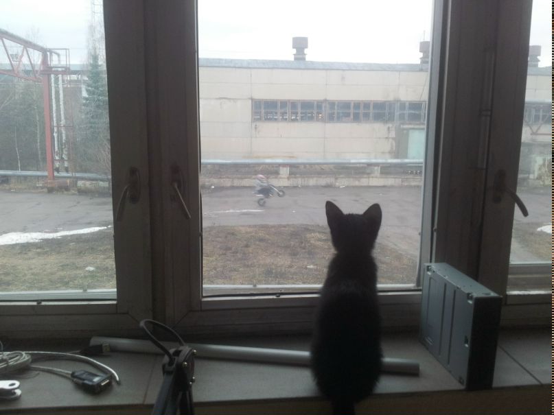Максим Данченко фотография #33