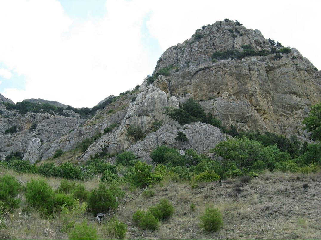 Cucumber Jam фотография #16