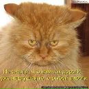 Олена Сас-Вінтоняк фотография #36 (источник - https://vk.com/id165328151)