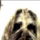 Андрій Бортник фотография #26 (источник - https://vk.com/id103194868)