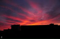 Оля Ткаченко фотография #29 (источник - https://vk.com/id1748957)