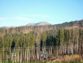 Сергій Бандура фотография #41 (источник - https://vk.com/id68943004)