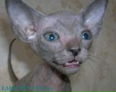 Сергій Цимбалюк фотография #14 (источник - https://vk.com/id13834158)