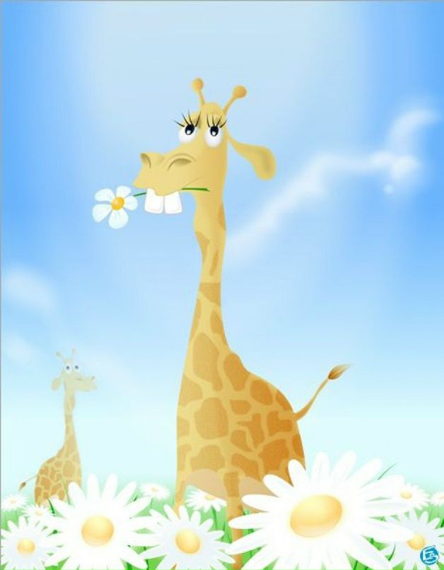 Elya Elya фотография #16