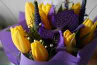 Тата Епифанова фотография #32 (источник - https://vk.com/id2133593)