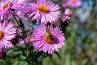 Ігор Явір фотография #32 (источник - https://vk.com/id18353695)