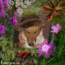 Фотография Алексеевой Ольги