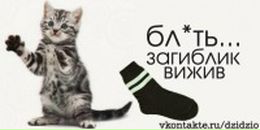 Іван Садовий фотография #47 (источник - https://vk.com/id32428982)