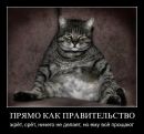 Влодко Сірий фотография #26 (источник - https://vk.com/id3605006)