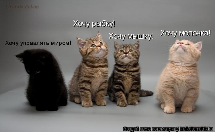 Александр Бреус фотография #5